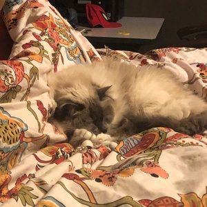 Meet your Posher, Jill